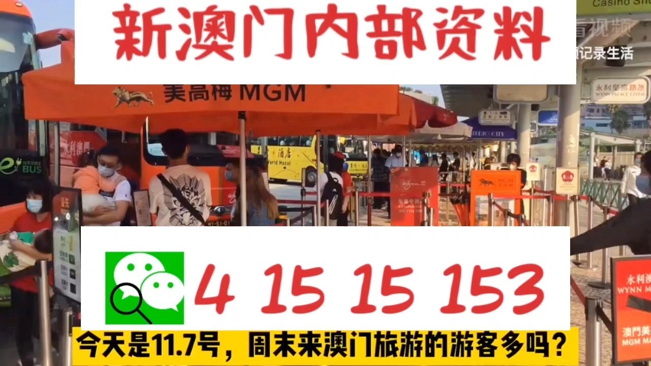 新澳门精准三肖三码中特，探索与解读，新澳门精准三肖三码中特解读与探索指南