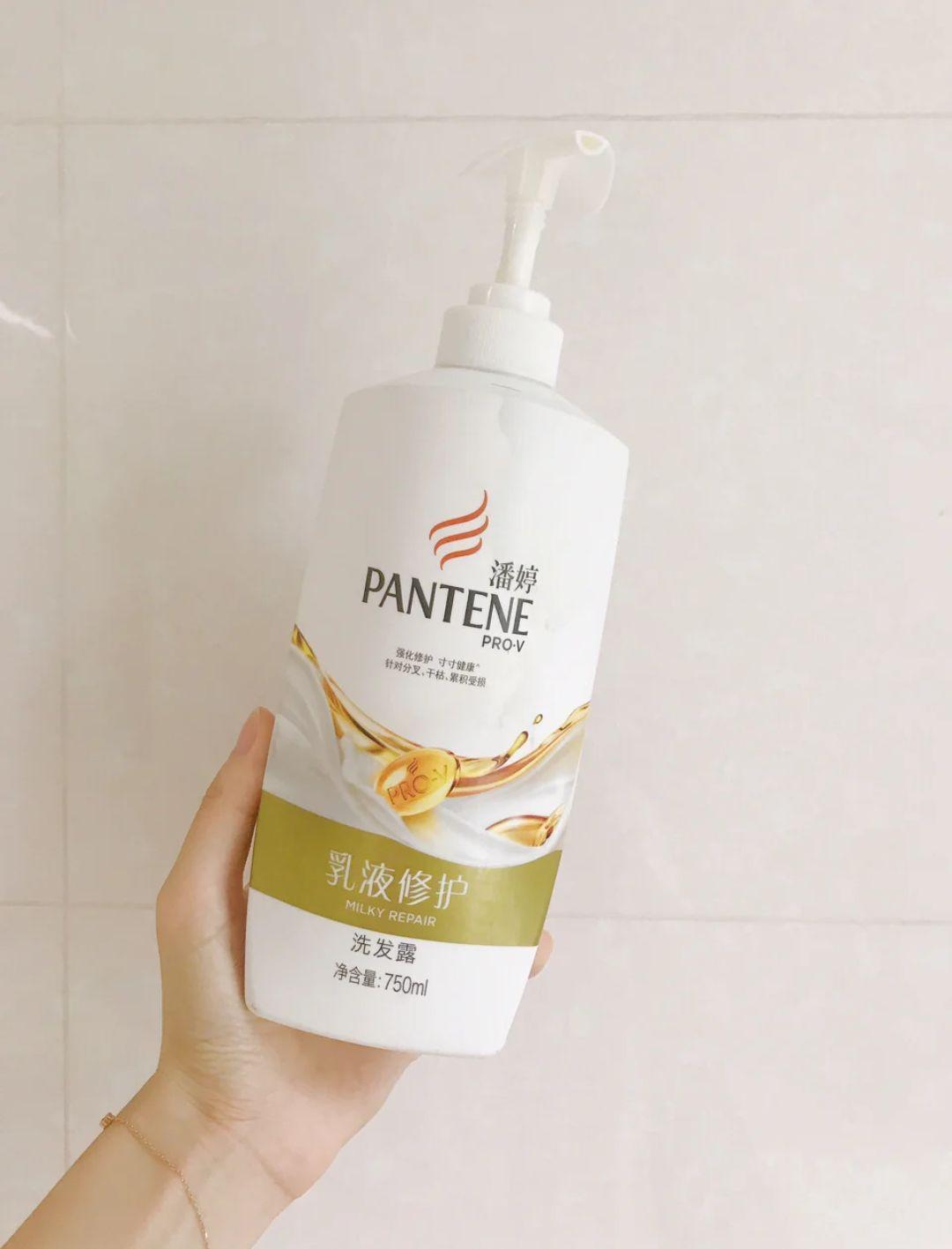 潘婷，秀发之美，魅力之典范，潘婷，秀发典范，魅力无限