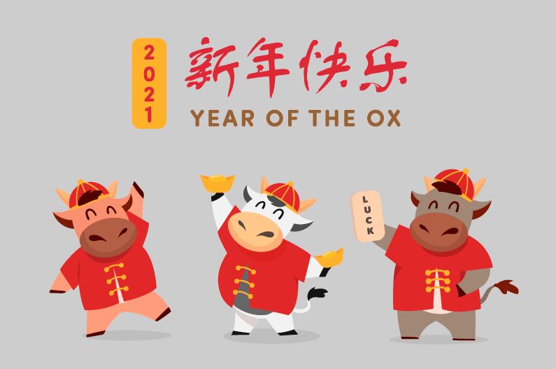 迎接崭新的未来，2021年新年的展望与期待，展望新年新未来，2021年元旦的期待与展望