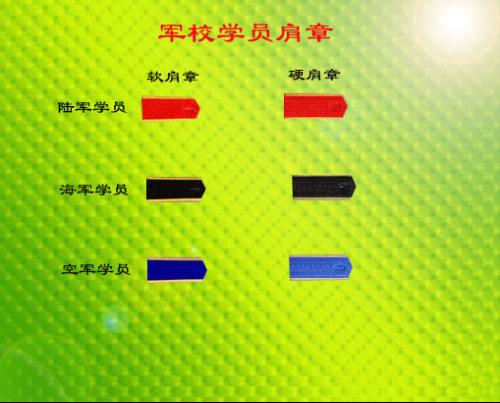 中国的军衔等级肩章，历史、制度及其意义，中国军衔等级肩章，历史沿革、制度与意义探究
