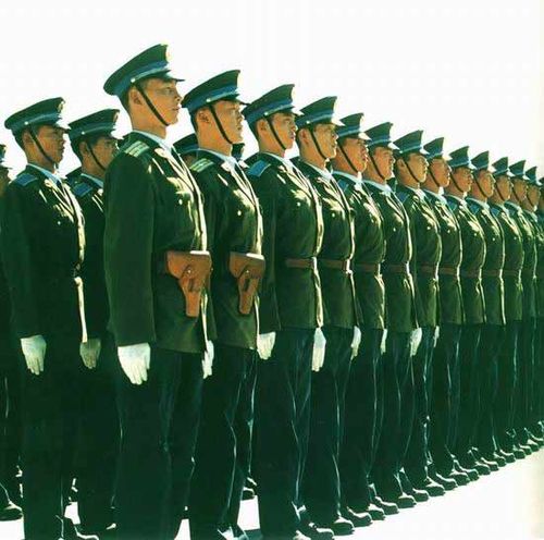 中国阅兵中的方队，数量与力量的象征，中国阅兵方队，数量与力量的辉煌展示