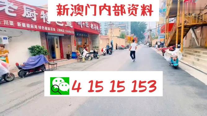 新澳好彩天天免费资料，探索与解析，新澳好彩天天免费资料解析与探索