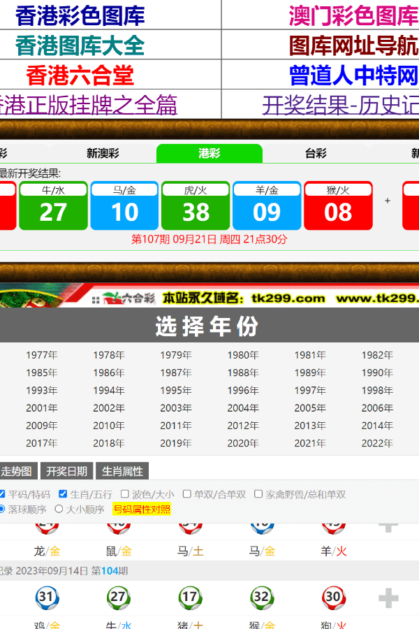 揭秘香港王中王与肖中特，探寻背后的真相，揭秘香港王中王与肖中特背后的真相