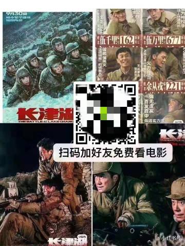 长津湖盗版在线观看，背后的故事与警示，长津湖盗版在线观看背后的故事警示与反思