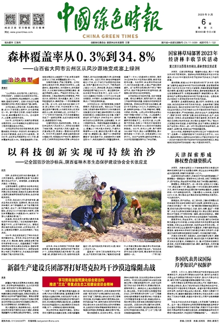 中国时报电子报，数字化转型的先锋力量，中国时报电子报，数字化转型的先锋引领者