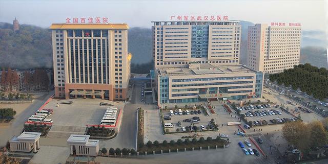 武汉中部战区总医院官网，连接健康与未来的桥梁，武汉中部战区总医院官网，健康与未来的桥梁接轨处