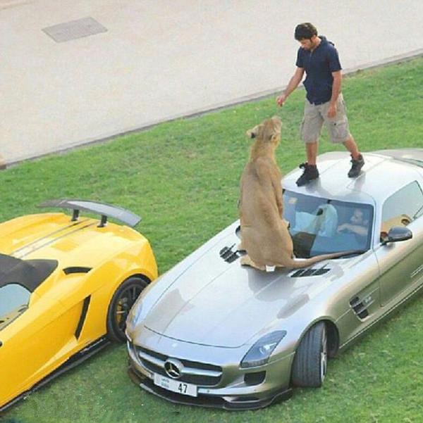 猎鹰700无人机，引领新一代智能航空的未来，猎鹰700无人机，引领智能航空新时代