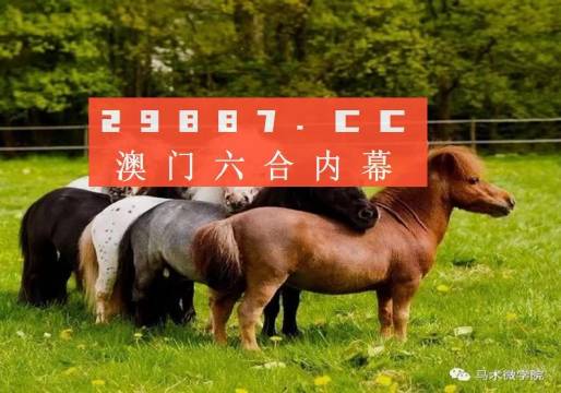 王中王马会平特一肖论坛——深度探讨与前瞻展望，王中王马会平特一肖论坛，深度探讨与前瞻展望论坛专题讨论会