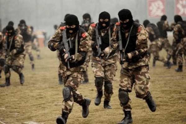 武警特种警察学院所在地，探寻培养特种精英的摇篮，武警特种警察学院，特种精英摇篮的所在地