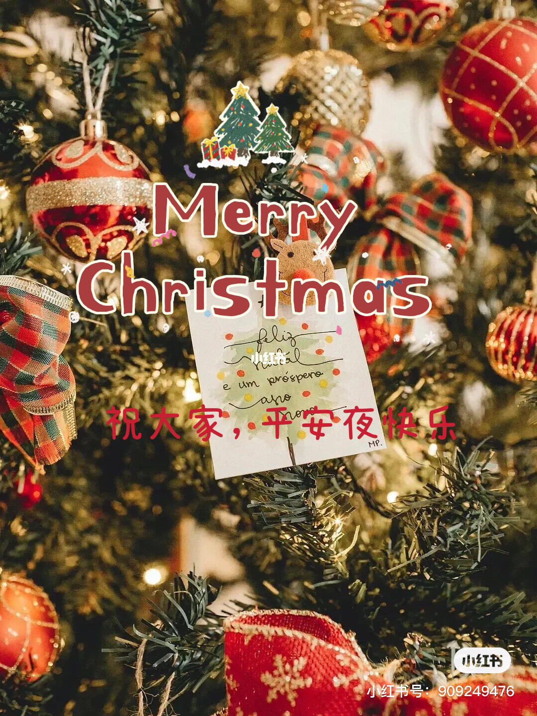 今夜，我们共同庆祝——平安夜，今夜共度平安夜，温馨庆祝佳节来临
