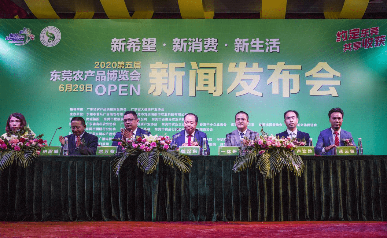 石碣新闻头条最新消息2020年全面报道，石碣新闻头条，2020年全面报道最新消息