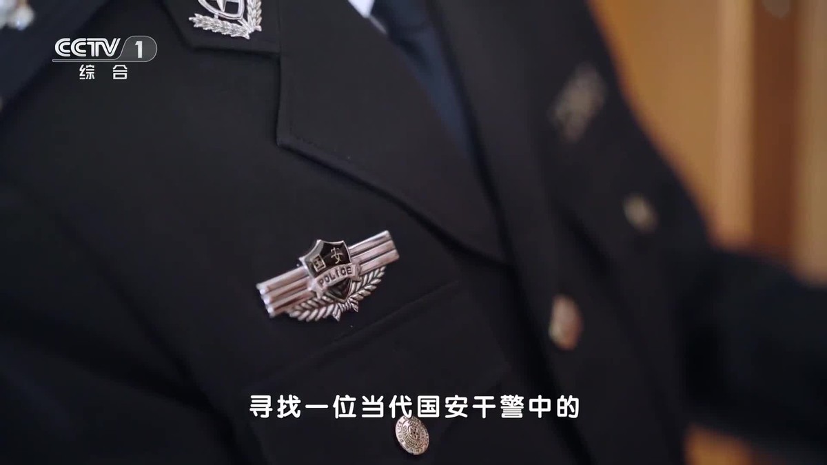 国安局有多大的权力，权力与职责的探讨，国安局权力与职责的深度探讨，权力范围究竟有多大？