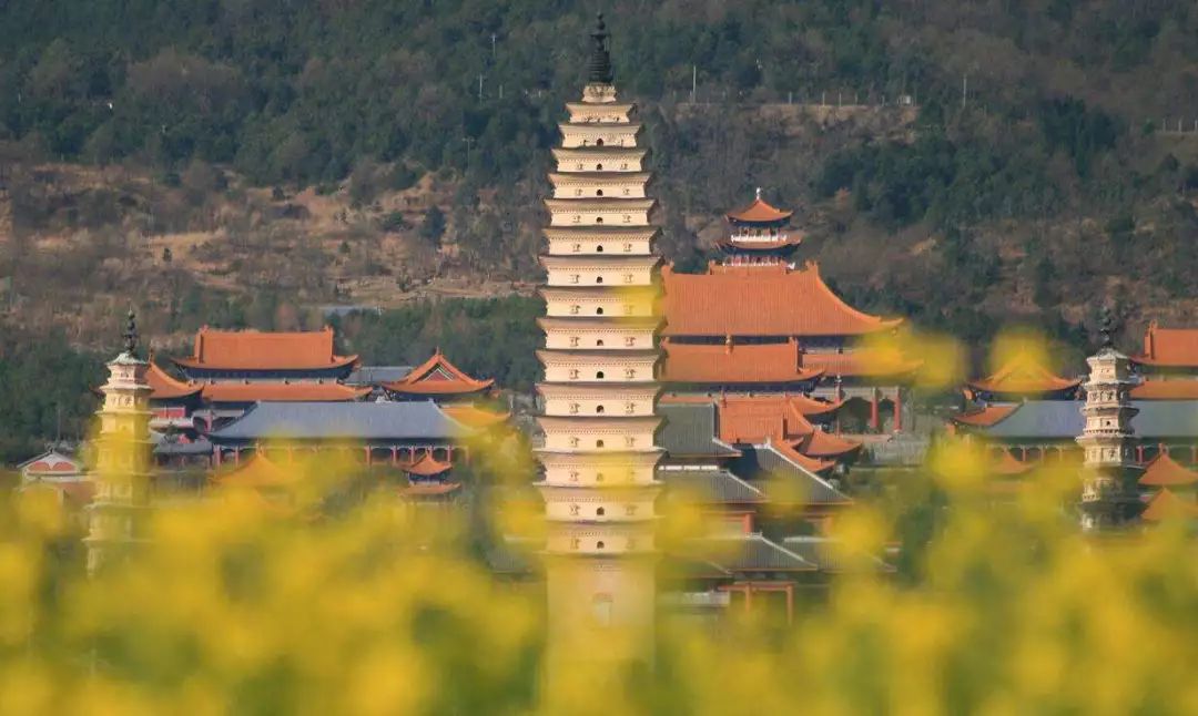 揭秘云南省昆明市神秘的42合成旅，揭秘昆明神秘42合成旅，云南省昆明市特种部队探秘之旅