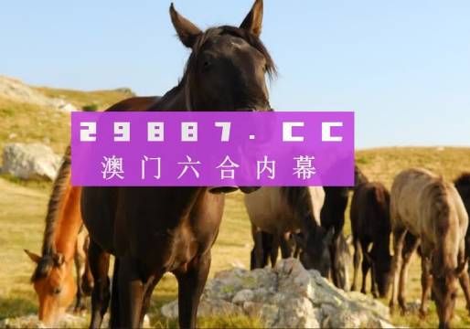 澳门一肖一码必中一码管家婆，揭秘与探索彩票背后的秘密，揭秘彩票背后的秘密，澳门一肖一码必中一码管家婆探索之旅