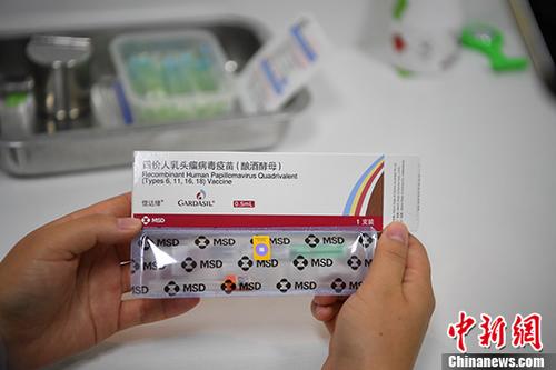 二四六香港管家婆期期准资料大全，探索与解析，探索解析香港管家婆期期准资料大全，揭秘二四六期期精准信息
