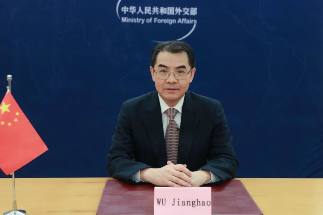 吴江浩，外交部部长助理的独特视角与深度洞察，吴江浩，外交部部长助理的独特视角与深度洞察揭秘