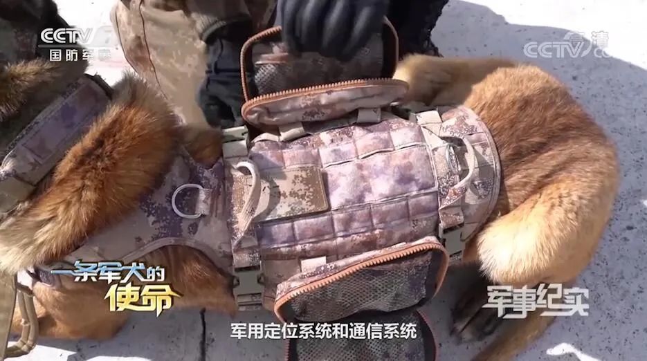 星空迷彩包，时尚与军事元素的完美融合，时尚与军事元素交融，星空迷彩包的独特魅力