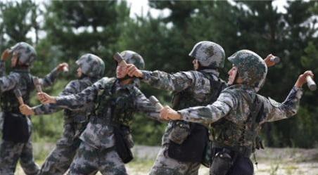 关于中国军事装备中的经典武器——67式木柄手榴弹参数详解，中国经典武器，67式木柄手榴弹参数深度解析