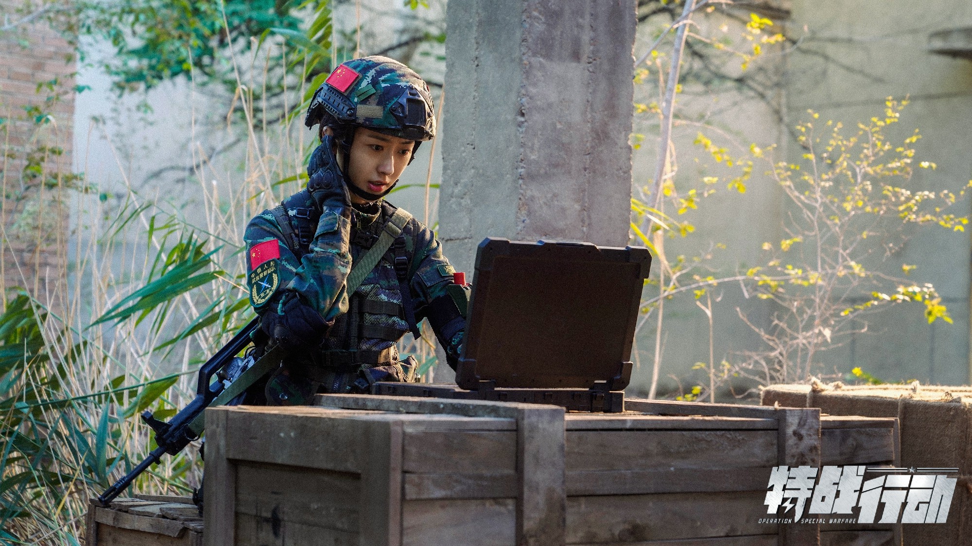 关于中国女特种兵电影大全，荣耀与坚韧的象征，中国女特种兵电影盘点，荣耀与坚韧的象征