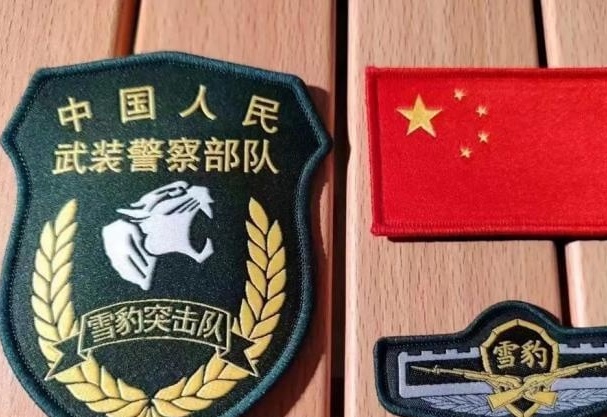 武警雪豹突击队旗，荣耀与使命的象征，武警雪豹突击队旗，荣耀与使命的徽章