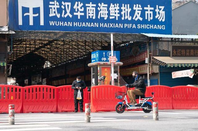 华南海鲜市场一号病人的故事与影响，华南海鲜市场一号病人的故事，疫情起源与影响