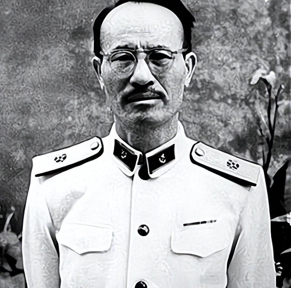 士官制度的历史演变及其深远影响，士官制度的历史演变与深远影响探究