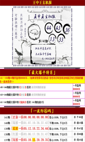 王中王家婆深度解析与探究
