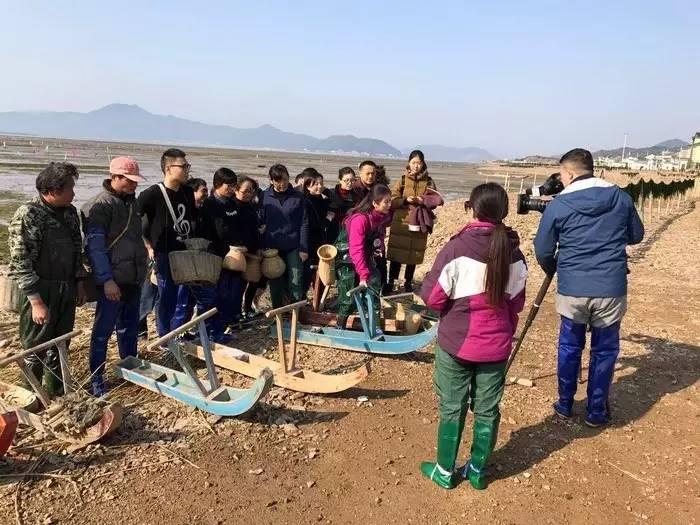 中央七套主持人照片，展现魅力与专业素养，中央七套主持人风采展示，魅力与专业并存的照片集
