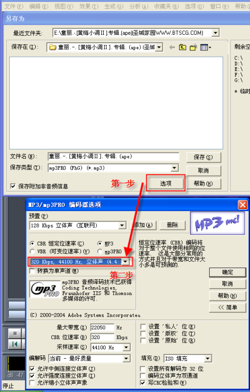 关于肖氏编码默认版的深度解析，肖氏编码默认版深度解析