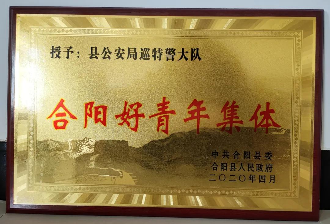 猛虎突击队特警战队，守护安全的钢铁战士，猛虎突击队特警战队，钢铁守护者的荣耀