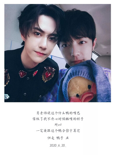 王中王一肖中特一吗——探究现象背后的真相，王中王一肖中特现象揭秘，探寻背后的真相