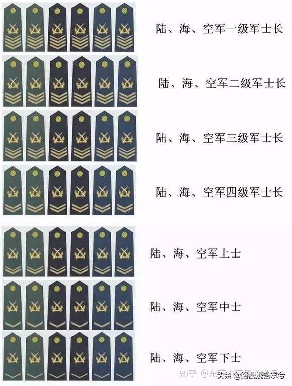 士官制度的起源与发展，士官制度的起源与演变