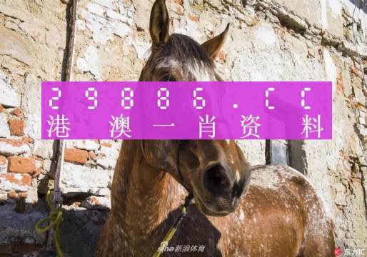 王中王生活幽默资料一肖