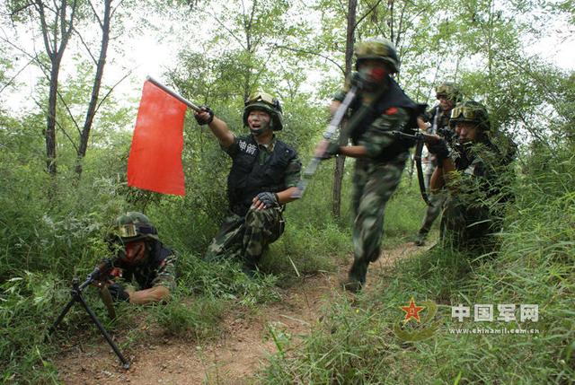 武警8640部队，忠诚与担当的荣光，武警864 部队，忠诚与担当的荣耀时刻