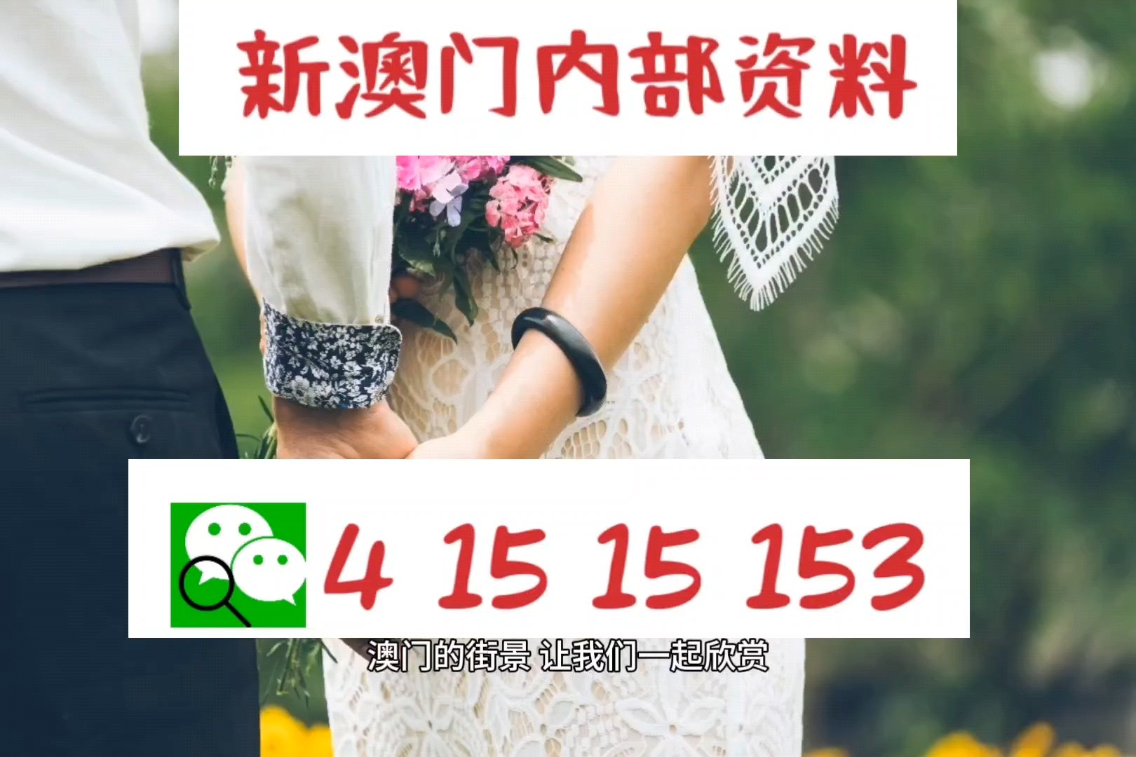 澳门码最快开奖直播
