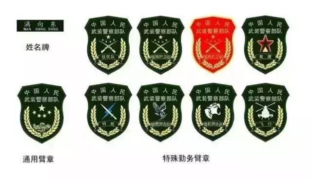 中国人民武装警察部队组织机构图，体系构建与职责分布，中国人民武装警察部队组织机构图详解，体系构建与职责分布概览