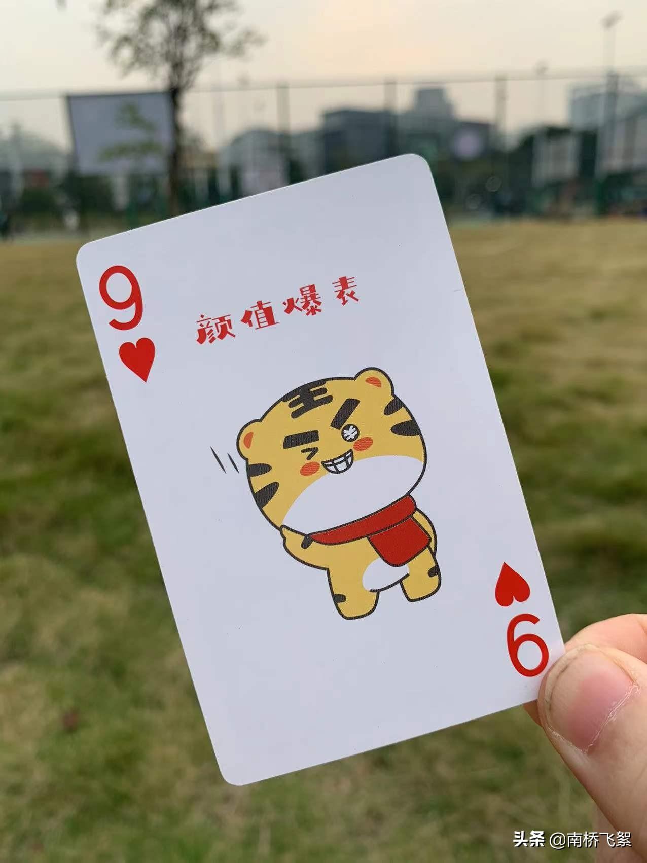 第54集团军猛虎师，勇猛与荣耀的象征，第54集团军猛虎师，勇猛与荣耀的传奇之旅