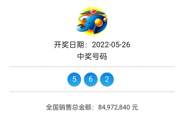 王中王开奖结果一肖中特，揭秘彩票背后的神秘面纱，揭秘彩票背后的神秘面纱，王中王开奖结果一肖中特分析