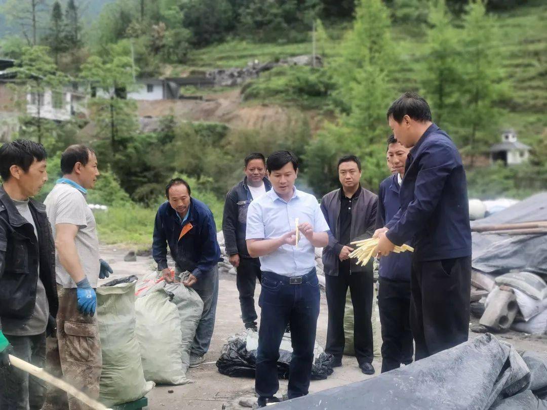 云南最年轻县长刀正强，青春与担当的典范，云南最年轻县长刀正强，青春担当的典范
