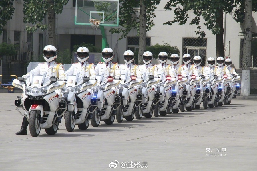 护卫队与警察，职责、角色与差异，护卫队与警察，职责、角色差异解析