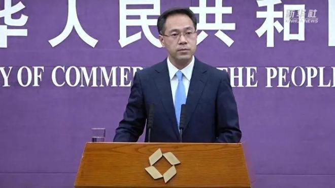 挑战与应对（或应对策略）