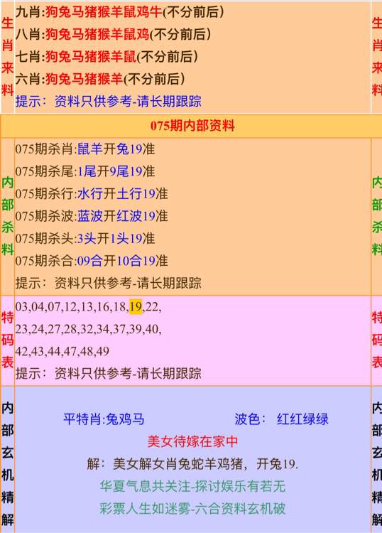 一肖公式，揭秘背后的奥秘与实际应用，一肖公式揭秘，奥秘与实战应用探索