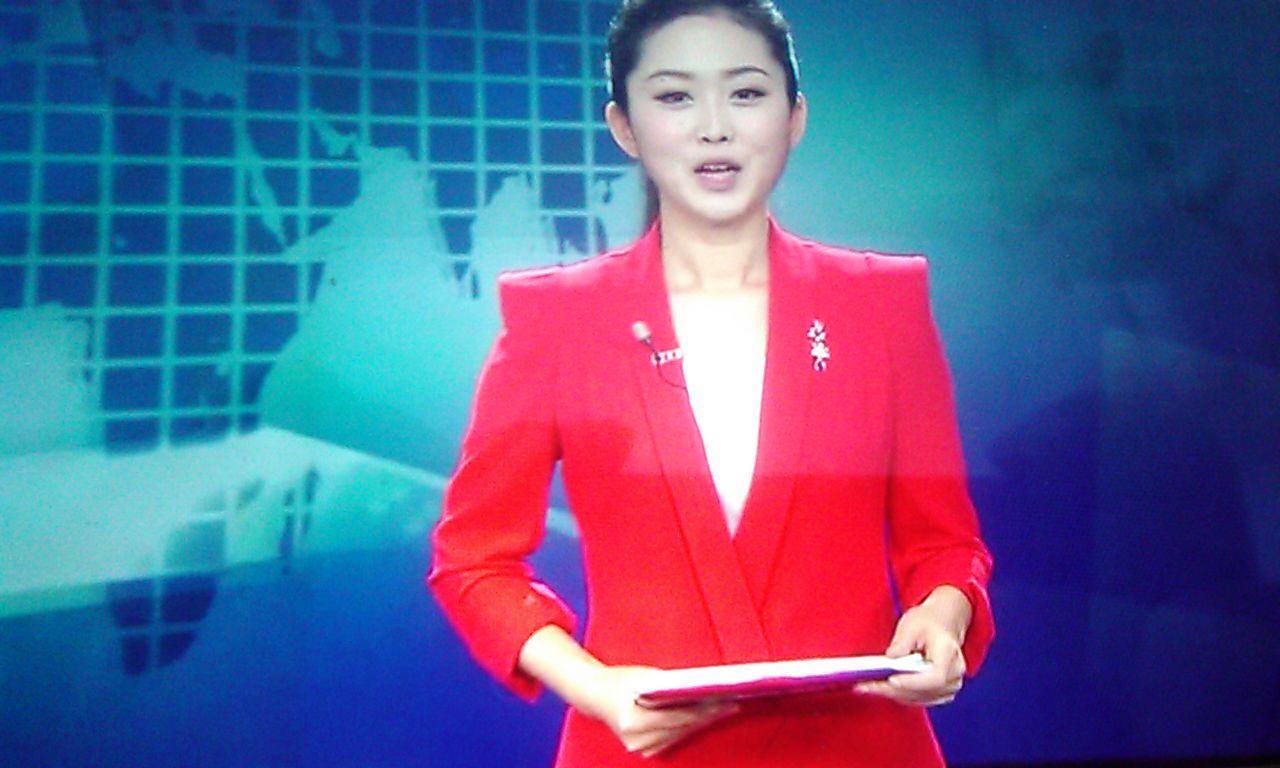 女主持人名字大全，探寻美丽与智慧的化身，女主持人名字大全，美丽与智慧的汇聚之地