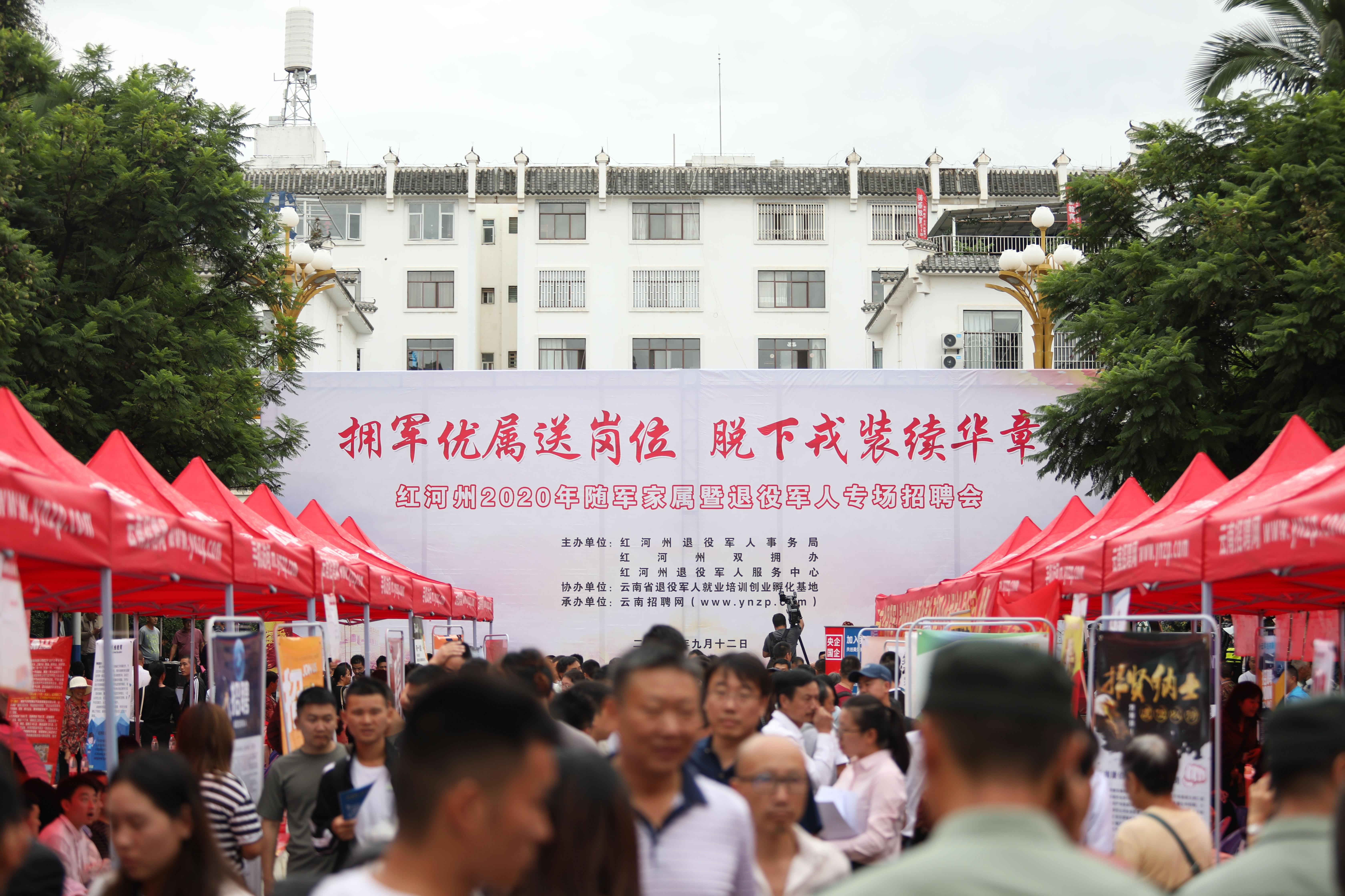 云南退役军人招聘网最新招聘动态深度解析，云南退役军人招聘网最新招聘动态深度剖析