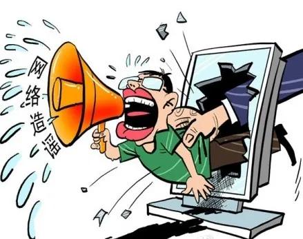 华南海鲜市场女老板生死之谜，探寻真相与反思，华南海鲜市场女老板生死之谜，探寻真相与反思社会事件背后的真相与反思