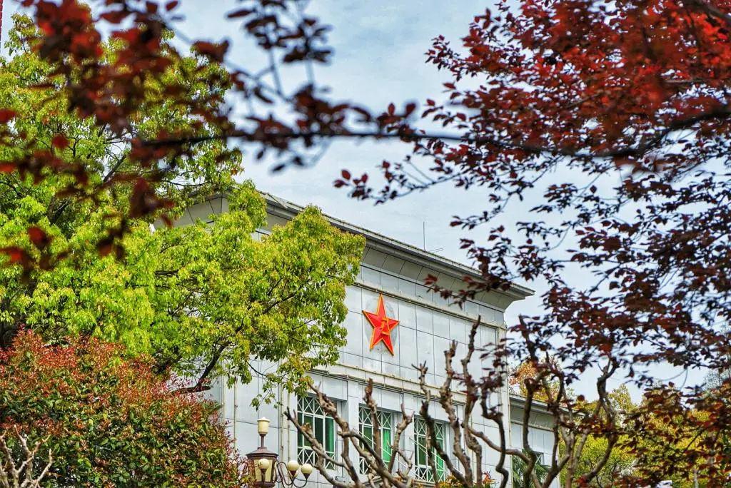 国防科技信息大学的独特地位与贡献，国防科技信息大学的独特地位及其卓越贡献