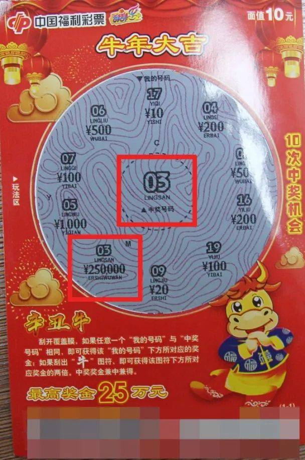 王中王结果平特一肖，深度解析与启示，王中王结果平特一肖，深度探究与启示