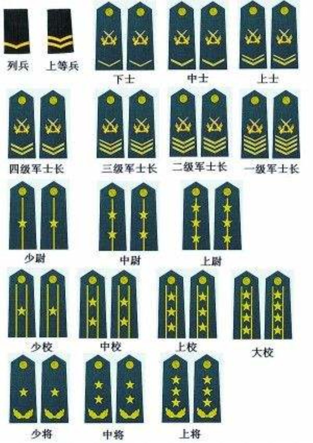 中国的军衔等级及标志图，最新图片解读，中国军衔等级与标志图解读，最新图片概览