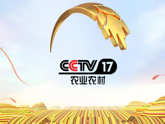 CCTV 17农业农村频道，展现乡村魅力，助力农业发展，CCTV 17农业农村频道，展现乡村魅力，助推农业发展新篇章
