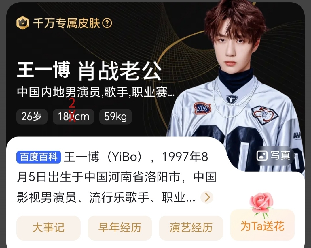 王中王一肖中特资料深度解析，王中王一肖中特资料深度解读